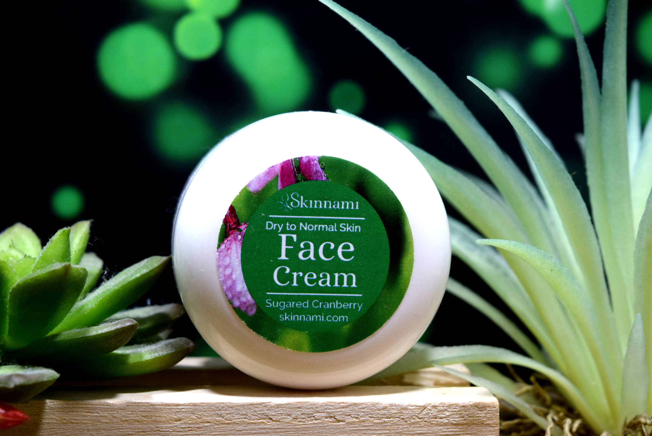 face-cream-dry-to-normal-skin-skinnami